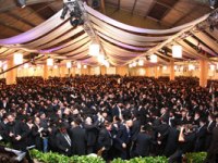 kinus