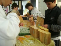 Velas