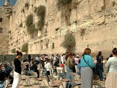kotel