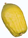 etrog