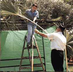 montando suká