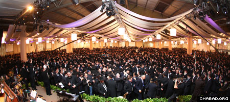 Kinus dancing